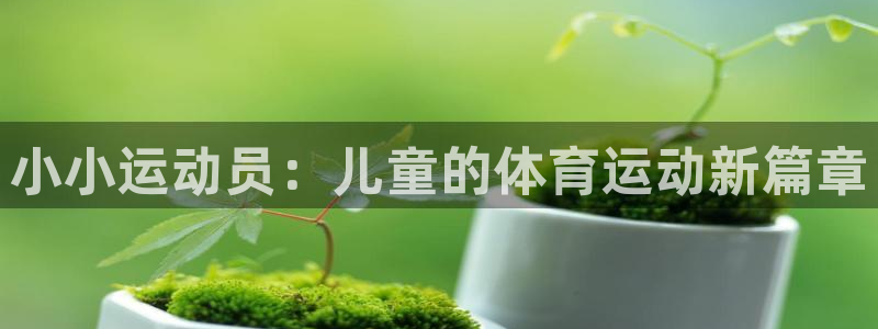 谈球吧体育官网