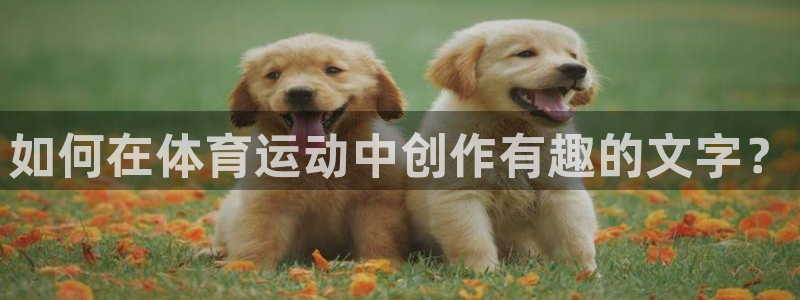谈球吧体育官网