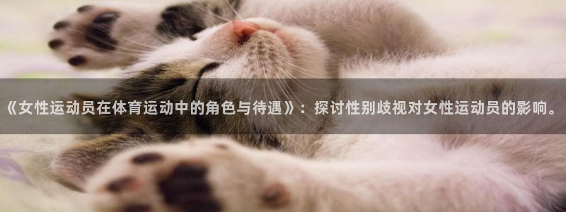 谈球吧体育