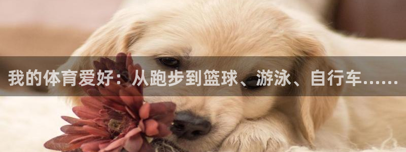 谈球吧体育官网