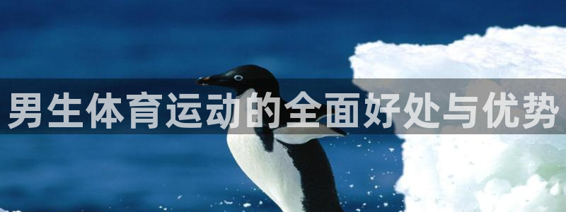 谈球吧体育官网