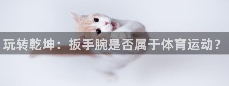 谈球吧体育官网