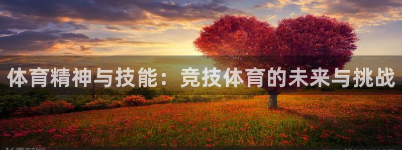谈球吧体育