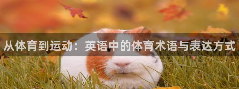 谈球吧体育：从体育到运动：英语中的体育术语与表达方式