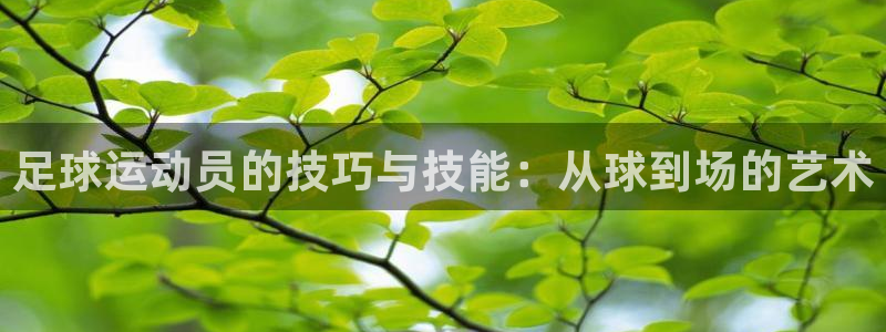 谈球吧体育：足球运动员的技巧与技能：从球到场的艺术