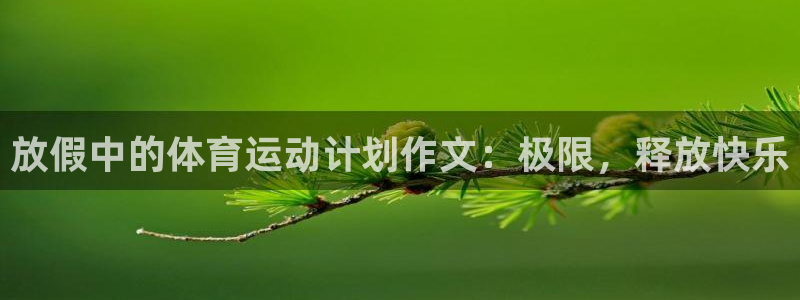 谈球吧体育：放假中的体育运动计划作文：极限，释放快乐
