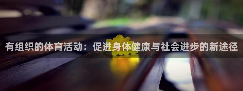谈球吧：有组织的体育活动：促进身体健康与社会进步的新途径