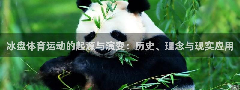 谈球吧体育官网：冰盘体育运动的起源与演变：历史、理念与现实应用