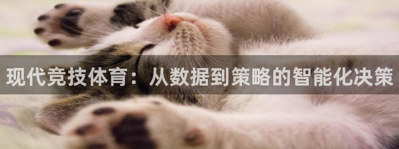 谈球吧体育