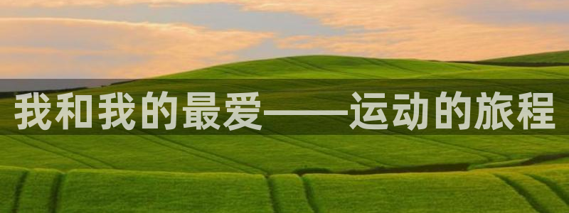 谈球吧体育官网