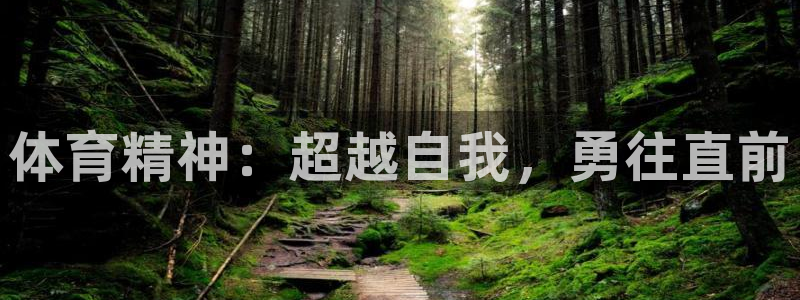 谈球吧体育：体育精神：超越自我，勇往直前